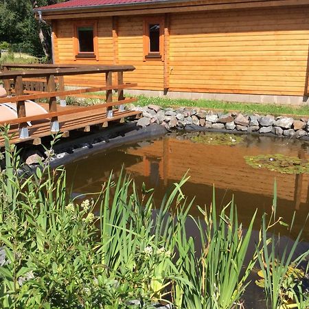 Blockhaus Harzblick Villa Braunlage Exteriör bild