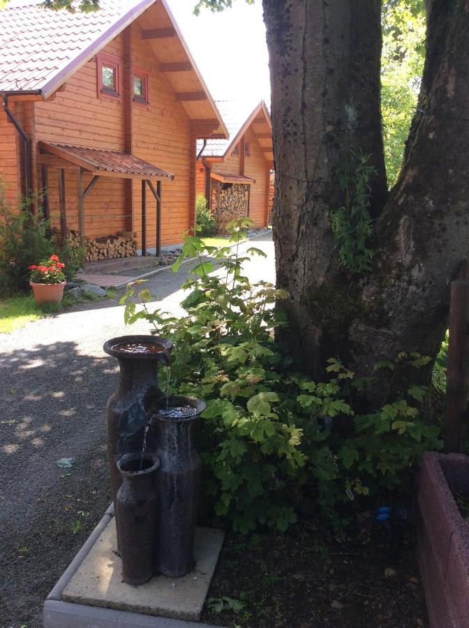 Blockhaus Harzblick Villa Braunlage Exteriör bild